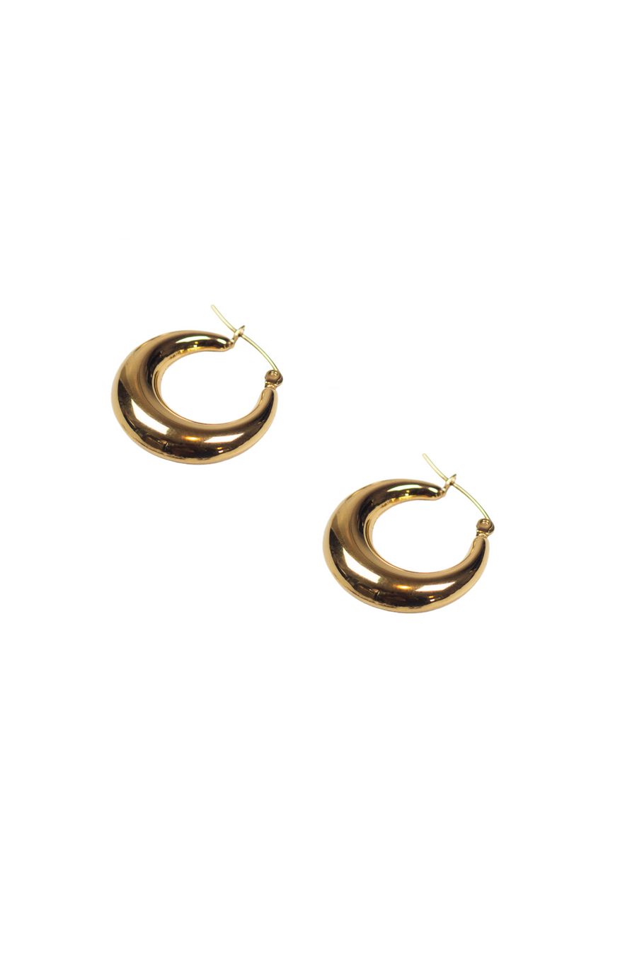 18K gold stainless steel hoop earrings. Named Alyssa Hoops by E's Element.